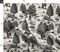 Sasquatch Black Bigfoot Yeti Camping Toile Custom Printed Fabric by Spoonflower Various Fabrics by the Yard or Fat Quarter 11775690